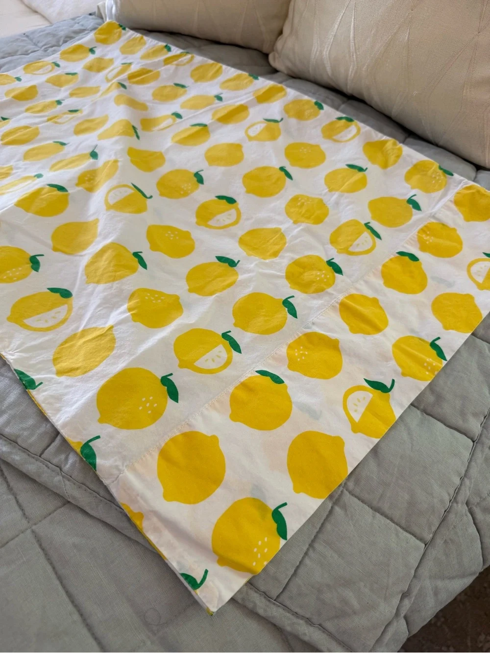 The Land of Nod Lemon-Print standard sham